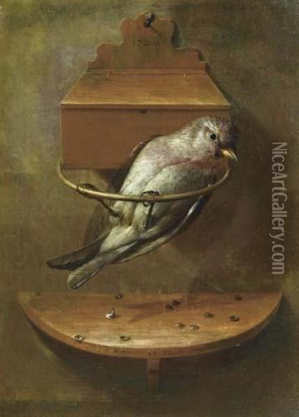 Still Life With Small Bird. Oil Painting - Johann-Adalbert Angermeyer