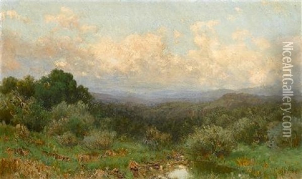 Marsh Landscape Oil Painting - Francesco (Luigi) Lojacono