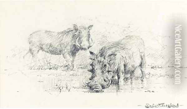 Warthogs Oil Painting - Thomas Hosmer Shepherd