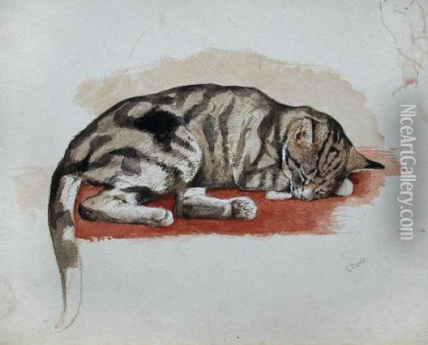 Studyof A Tortoiseshell Cat Oil Painting - Charles Edmund Brock