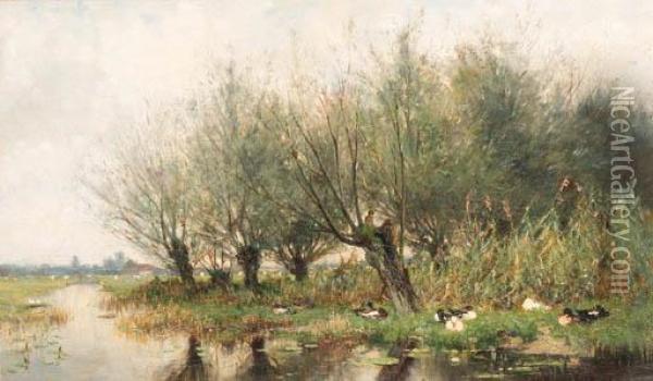 Ducks On A Riverbank Under The Pollard Willows Oil Painting - Geo Poggenbeek