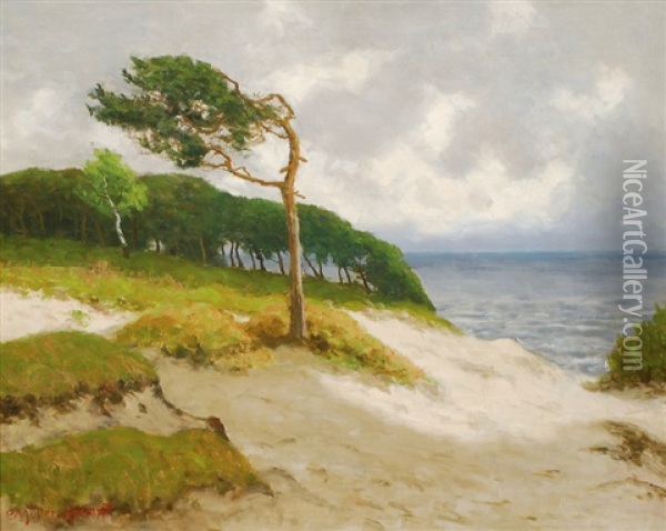 Coast Of The Baltic Sea Near Ahrenshoop Oil Painting - Paul Mueller-Kaempff