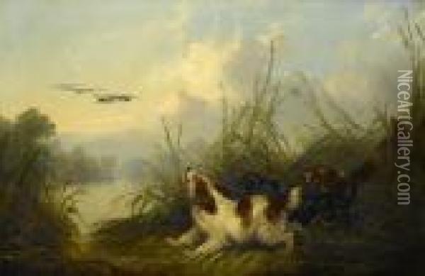 Spaniels Flushing Mallard Oil Painting - George Armfield