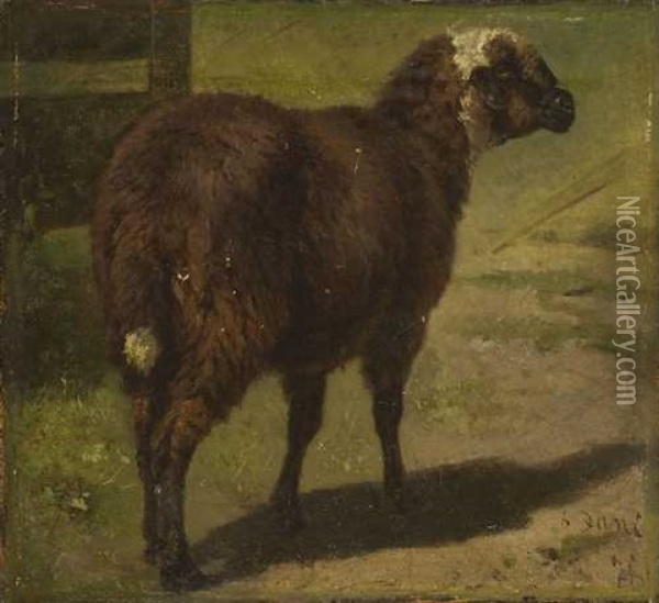 Schaf Oil Painting - Wilhelm Friedrich Frey