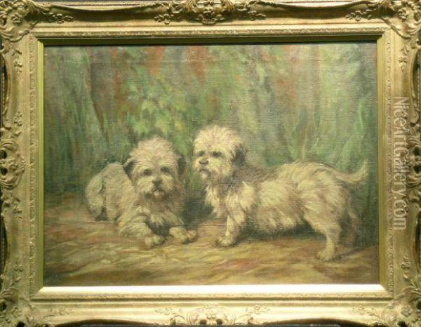 Two Dandie Dinmont Terriers Oil Painting - Joseph Denovan, Adam Jnr.