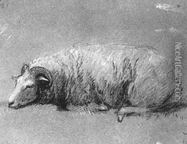 Study of a Sheep 1757-59 Oil Painting - Thomas Gainsborough