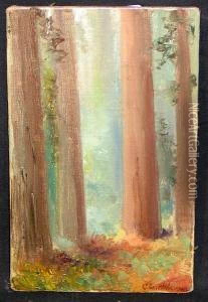 A Study Of Redwoods Oil Painting - Charles Henry Harmon