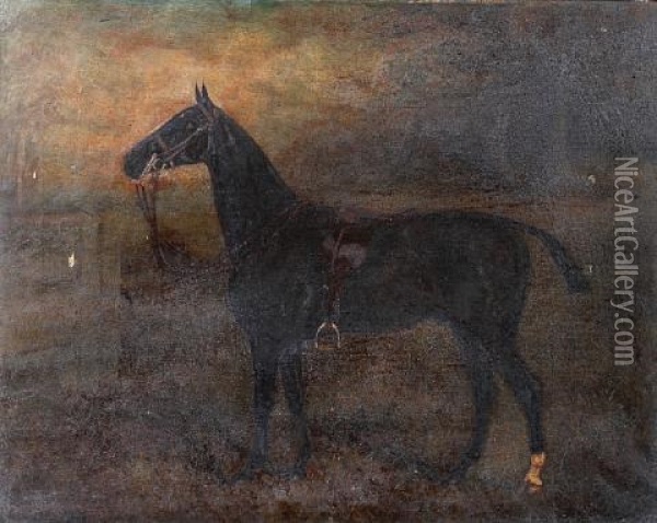 Tommy, A Saddled Hunter Oil Painting - Herbert H. St. John Jones