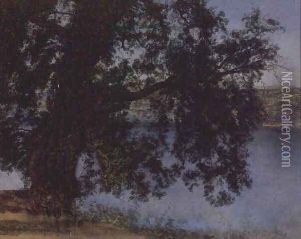 Tree in the Shade above the Water near Castel Gandolfo Oil Painting - Alexander Ivanov