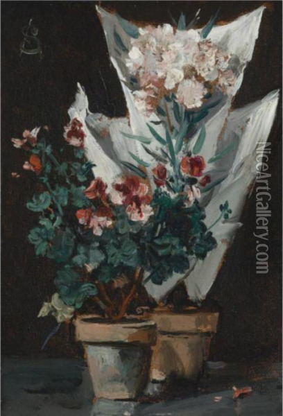Still Life With Potted Geraniums Oil Painting - Aime Stevens