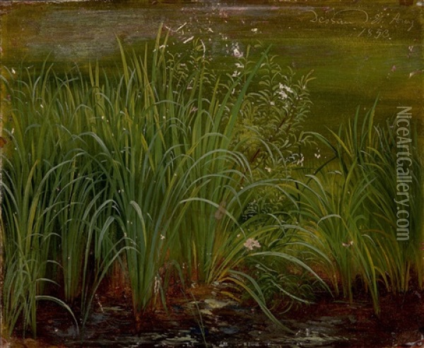 The Banks Of A Lake, With Reeds Oil Painting - Karl Christian Sparmann
