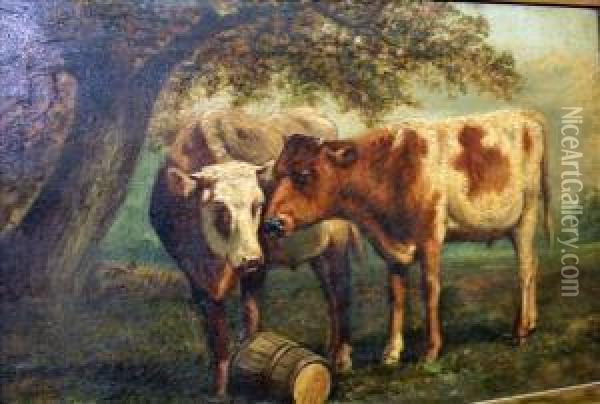 Cattle Study Oil Painting - E Watson
