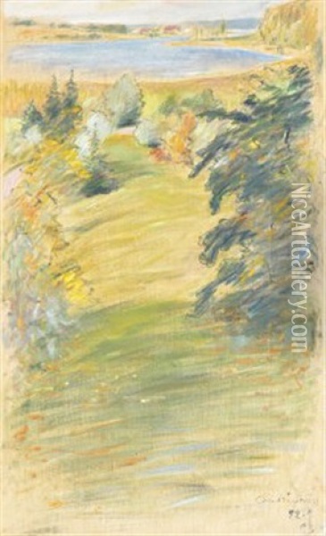 Landskap Med Sjo Oil Painting - Albert Engstroem