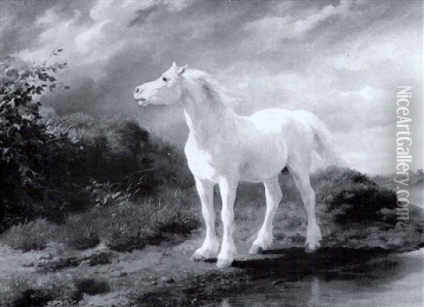 The White Horse Oil Painting - Rosa Bonheur