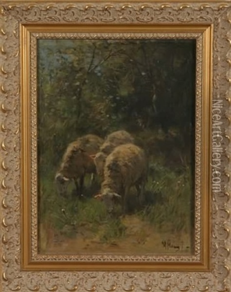 Pastoral Scene With Sheep Oil Painting - Anton Mauve