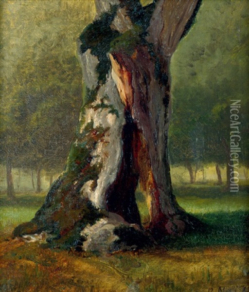 Bemooster Stamm Eines Zerborstenen Baumes Oil Painting - August Becker