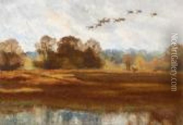 A Flight Of Wild Ducks Oil Painting - Bruno Andreas Liljefors