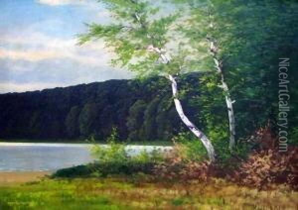 Uferlandschaft Mit Birken Oil Painting - Rudolf Hellgrewe