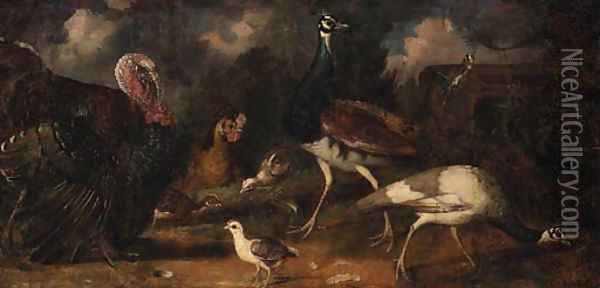 Peacocks with a Turkey, Chicken and Poults with a Goldfinch in a Landscape Oil Painting - Tobias Stranover
