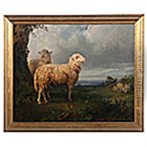 Flock Of Sheep Grazing In A Meadow Oil Painting - Rosa Bonheur