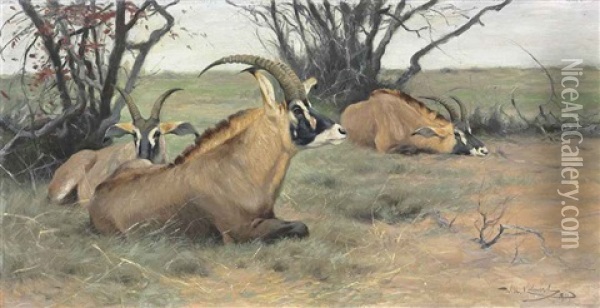 Roan Antelopes Resting In The Shade Oil Painting - Wilhelm Friedrich Kuhnert