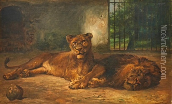 Resting Circus Lions Oil Painting - Wilhelm Friedrich Kuhnert