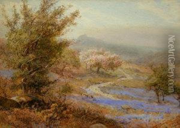 Blue Bells, Dartmoor Near Hayton Oil Painting - S.G. William Roscoe