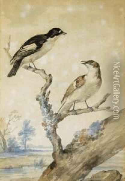 A Pair Of Pied Flycatchers Oil Painting - Aert Schouman