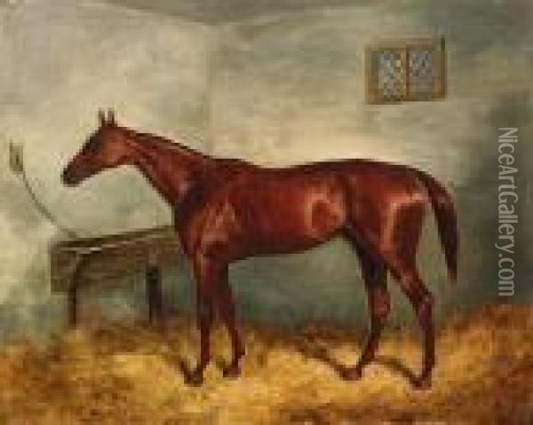 Thunderbolt, A Chestnut Racehorse In A Stable Oil Painting - Harry Hall