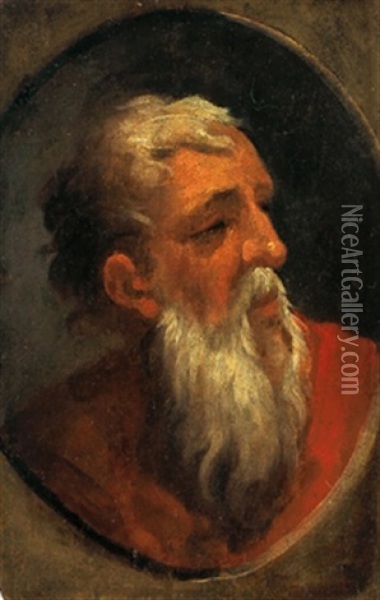 Testa Di Profeta Oil Painting - Domenico Beccafumi