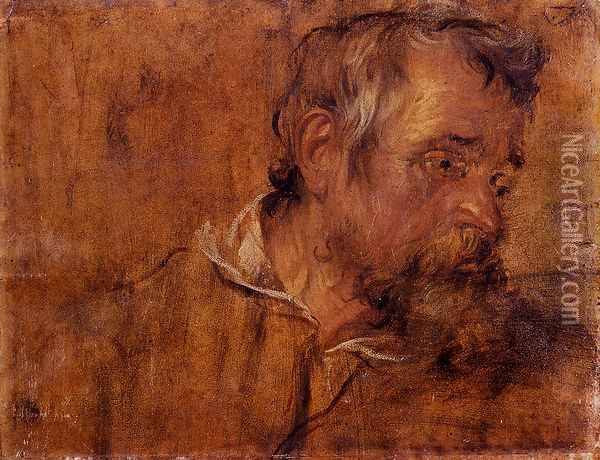 Profile Study Of A Bearded Old Man Oil Painting - Sir Anthony Van Dyck