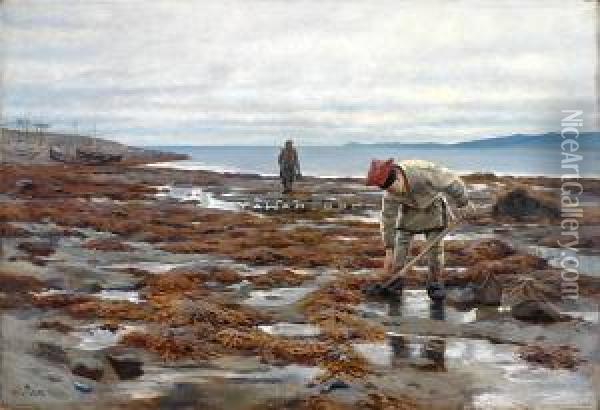 Sanking I Fjaera Nordpa Oil Painting - Wilhelm Otto Peters