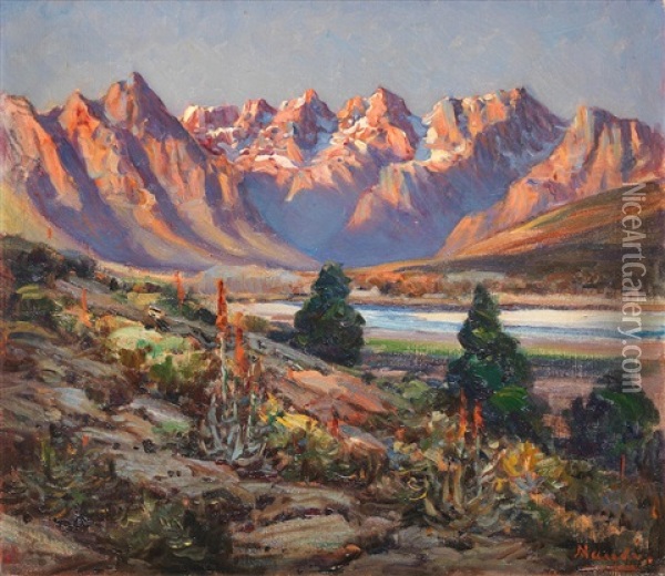 Worcester Mountains Oil Painting - Pieter Hugo Naude