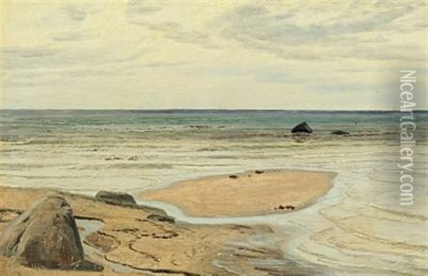 Coastal Scenery With Boulders On The Beach Oil Painting - Janus la Cour