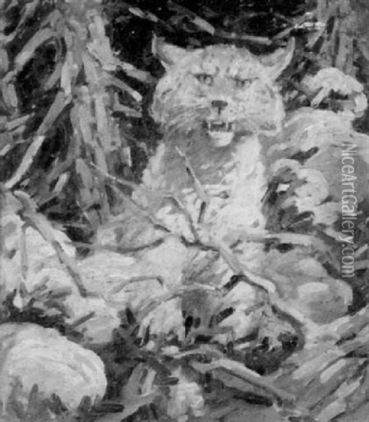 Bobcat Oil Painting - H. Boylston Dummer