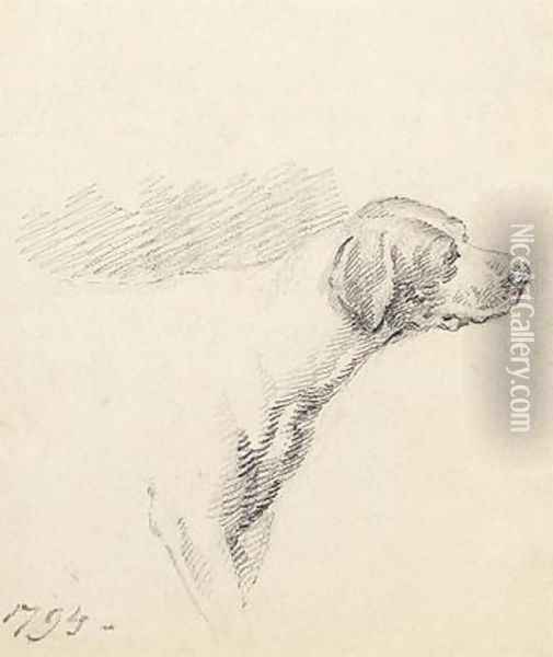 Study of a Hound 1794 Oil Painting - George Morland