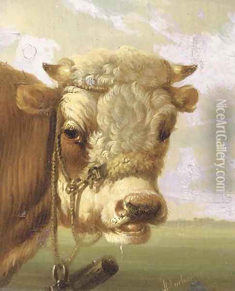 A bull's head Oil Painting - Albertus Verhoesen