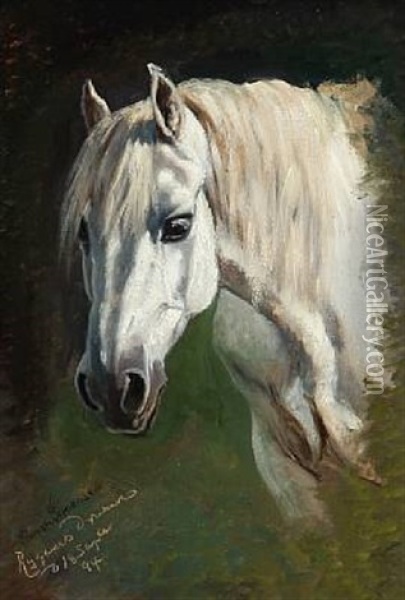 A White Arabian Horse In Dyregaard's Garden Oil Painting - Simon Simonsen