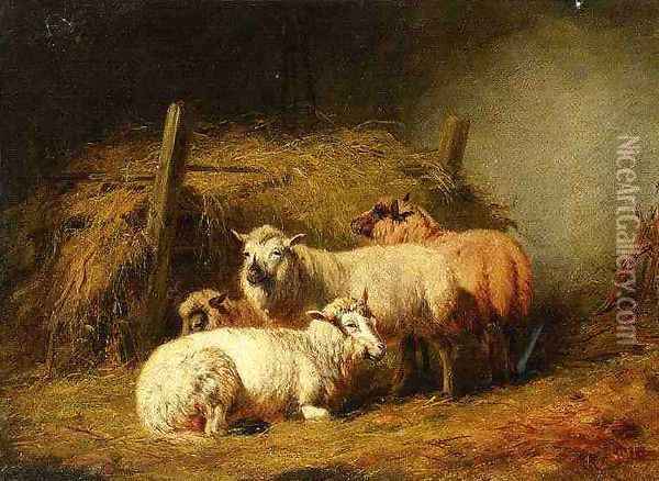 Sheep in Shed Oil Painting - Arthur Fitzwilliam Tait