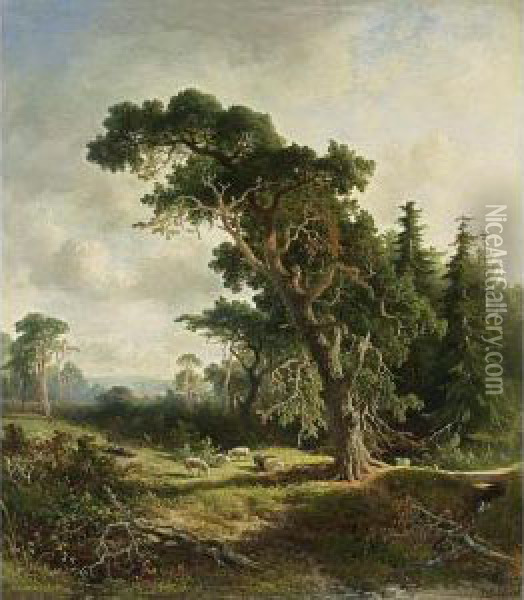 A Shepherd And His Flock In A Wooded Landscape Oil Painting - Johannes Warnardus Bilders