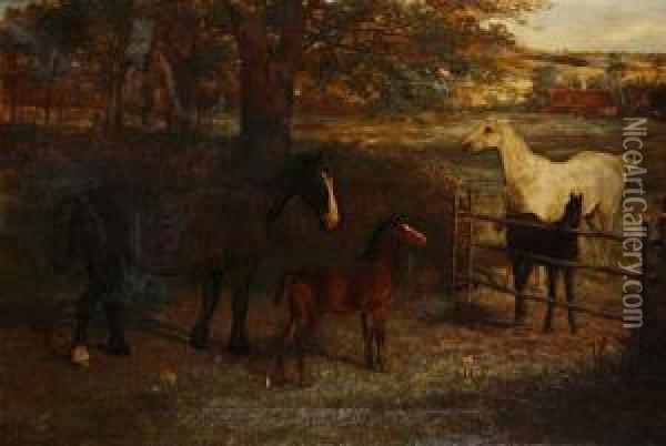 Horses In A Paddock Oil Painting - David George Steell