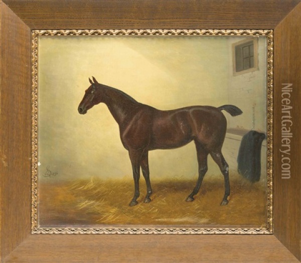 Portrait Eines Gesattelten Rennpferdes Im Stall Oil Painting - Alfred Grey
