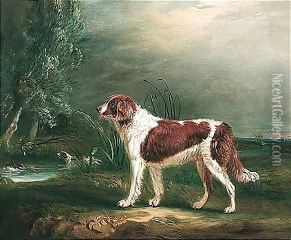 Two Spaniels By A Stream, One Putting Up Mallard Oil Painting - John Snr Ferneley