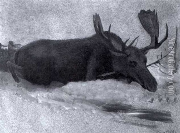 Moose In The Snow Oil Painting - Albert Bierstadt