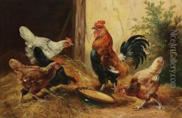 Haan En Kippen Op Het Erf Oil Painting - Paul Schouten
