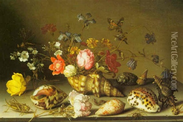 Still Life Of Flowers, Shells And Insects On A Stone Ledge Oil Painting - Balthasar Van Der Ast