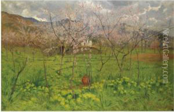 Primavera In Liguria Oil Painting - Carlo Pollonera