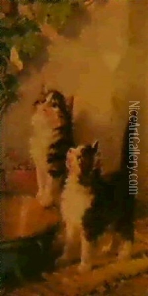 Zwei Katzchen Am Futternapf, Auf Einen Zitronenfalter Im    Weinlaub An Der Gauswand Lauernd Oil Painting - Julius Adam the Elder