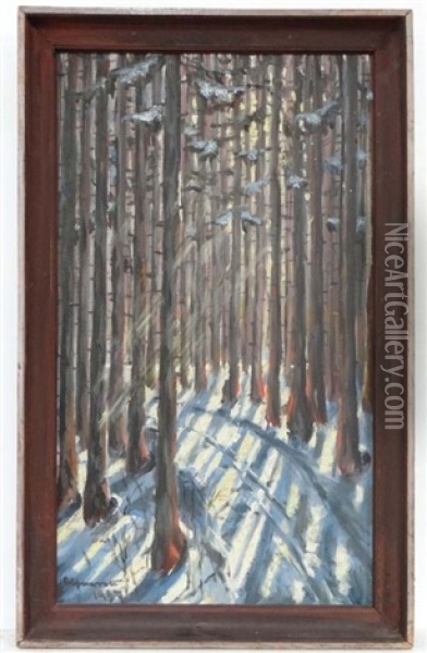 Sunlight Streaming Through Snow Laden Trees Oil Painting - Alexandre Altmann