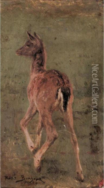 Study Of A Deer Oil Painting - Rosa Bonheur